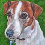 Roscoe, custom pet portrait of Jack Russell Terrier by Hope Lane