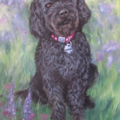 Sequoia, custom pet portrait of a Labradoodle by Hope Lane