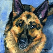 Rio the German Shepherd custom pet portrait by Hope Lane