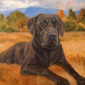 Bear, custom pet portrait of a Chocolate Labrador Retriever by Hope Lane