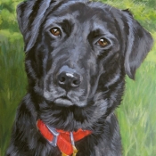Bella the black Lab custom pet portrait painting by Hope Lane