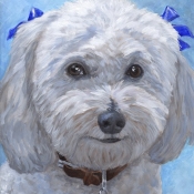Chuckie, custom pet portrait of Bichon Frise by Hope Lane