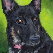 Ariel, German Shepherd custom pet portrait by Hope Lane