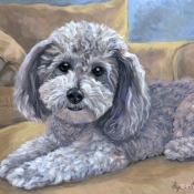 Kirby, custom pet portrait of a Havanese by Hope Lane