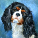 Bella, custom pet portrait painting of a King Charles Cavalier Spaniel by Hope Lane
