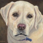 Ozzie, custom pet portrait of a Yellow Labrador Retriever by Hope Lane
