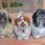 Three Amigos, Three Havanese custom pet portrait painting by Hope Lane
