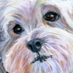 Little White Dog ACEO painting by Hope Lane