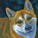 Rex, a custom pet portrait of a Shiba Inu by Hope Lane