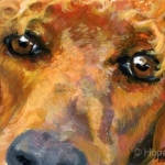 Bandit the Apricot Poodle Painting by Hope Lane