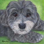Stella the Havanese custom pet portrait painting by Hope Lane