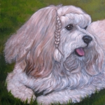 Tigger, custom pet portrait of a Havanese by Hope Lane