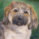 Alice, Havanese custom pet portrait by Hope Lane
