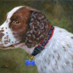 Bella, Springer Spaniel custom pet portrait painting by Hope Lane