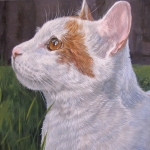 Chance, custom pet portrait of an ginger cat by Hope Lane