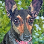 Coppelia, custom pet portrait of Rescue by Hope Lane