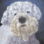 Freddy, the Sealyham Terrier custom pet portrait by Hope Lane
