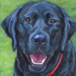 Georgia, a Black Labrador Retriever custom pet portrait painting by Hope Lane