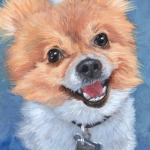 Gunny, the Pomeranian custom pet portrait painting by Hope Lane
