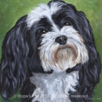 Jasper the Havanese custom pet portrait by Hope Lane