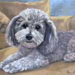Kirby, custom pet portrait of a Havanese by Hope Lane