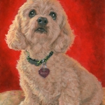 Maggie, custom pet portrait of a Cockapoo by Hope Lane