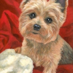 Millie, the Yorkshire Terrier custom pet portrait painting by Hope Lane