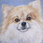 Yogi, custom pet portrait of a Pomeranian by Hope Lane