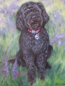 Sequia the Labradoodle by Hope Lane