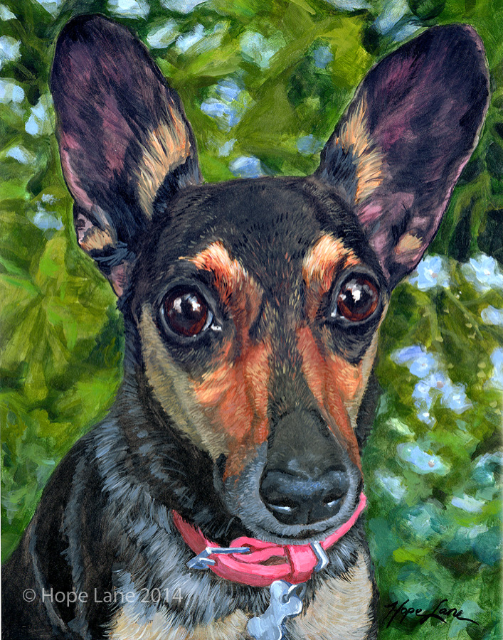 The Finished Painting of a Chihuahua Rescue
