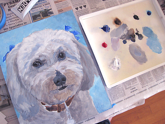 Stage One in a Bichon Frise Portrait