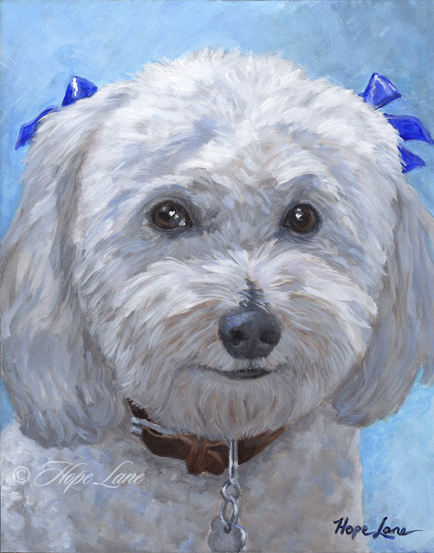 Finished Painting of a Bichon Frise by Hope Lane