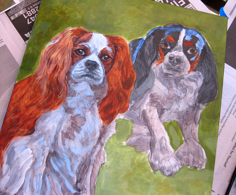 Cavalier King Charles Spaniel Portrait Early Stages