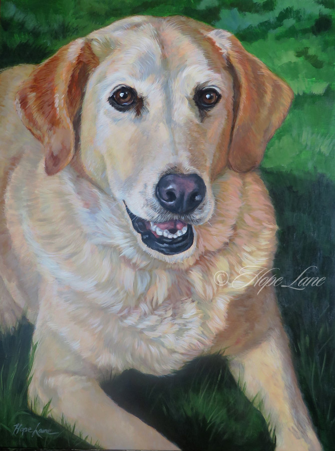 Finished Painting of a Yellow Lab Rescue Named Mack