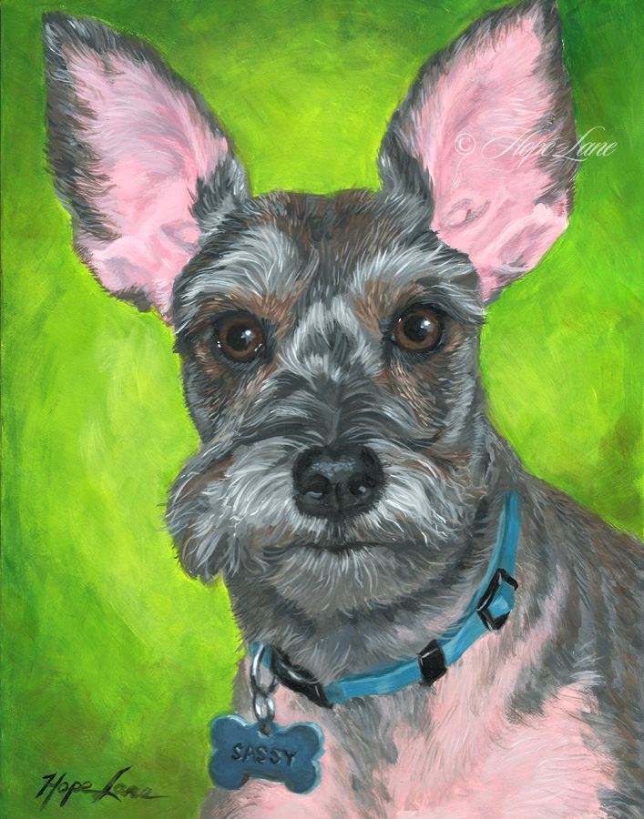 Finished Painting of a Schnauzer