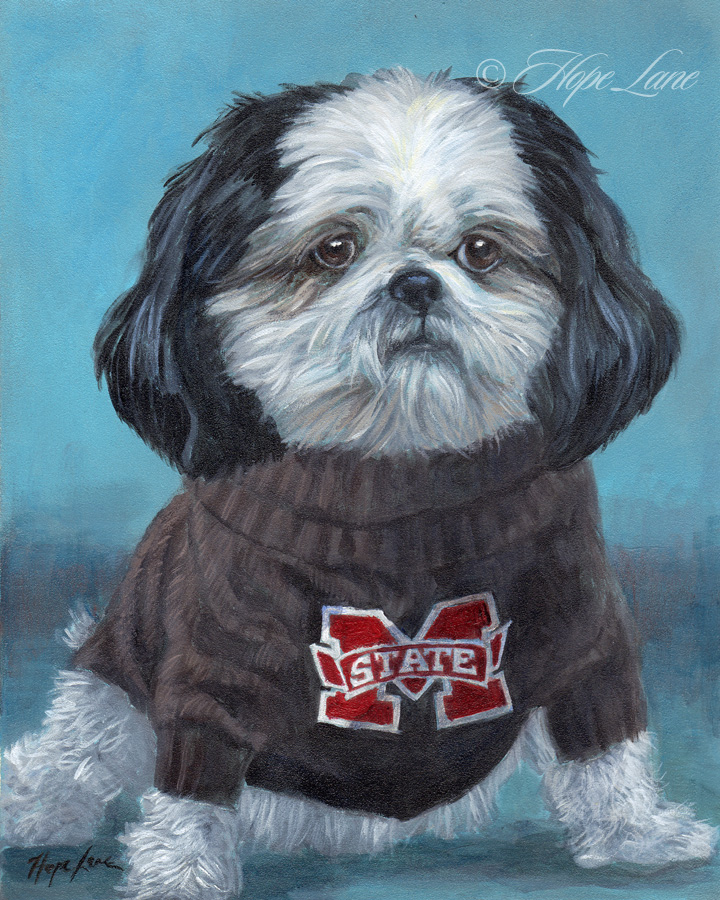 Finished Pet Portrait–Hooray for a Shih Tzu