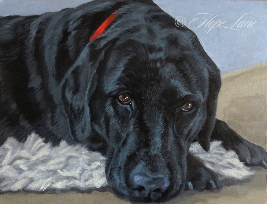 Black Lab Painting Continues