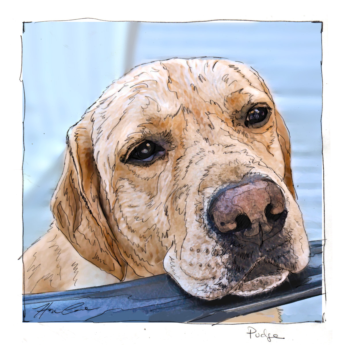 Pet Portraits for a New Home