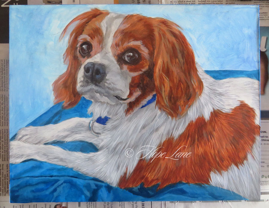 Portrait of Katey, a Cavalier