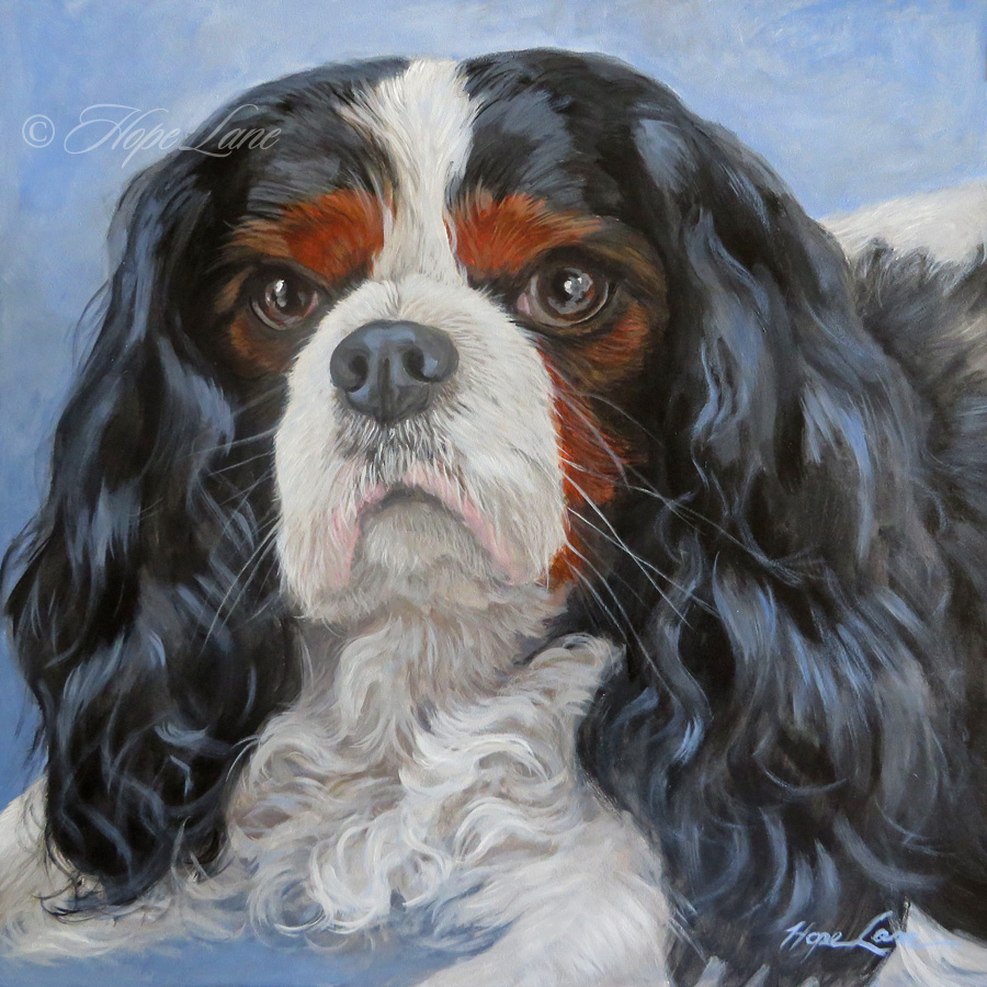 Completed Painting of Bentley, a Cavalier King Charles Spaniel