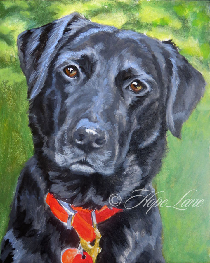 Painting Bella, A Black Dog, Part Two