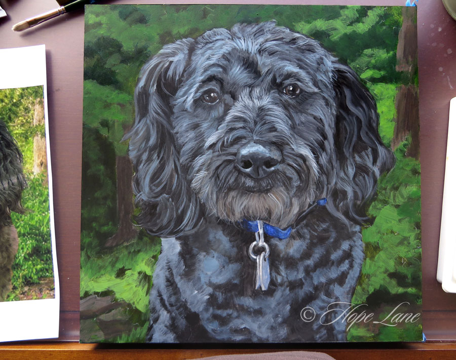 Halfway Through Painting A Schnoodle named Kole