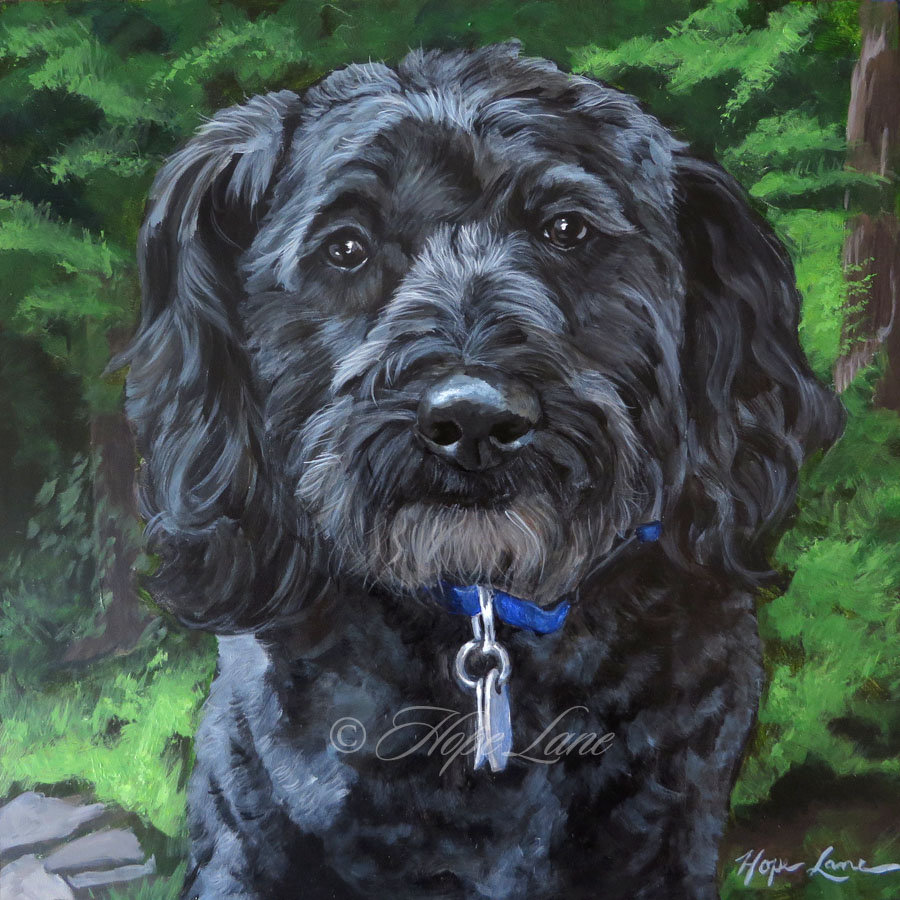 Finished Painting of Kole, the Schnoodle