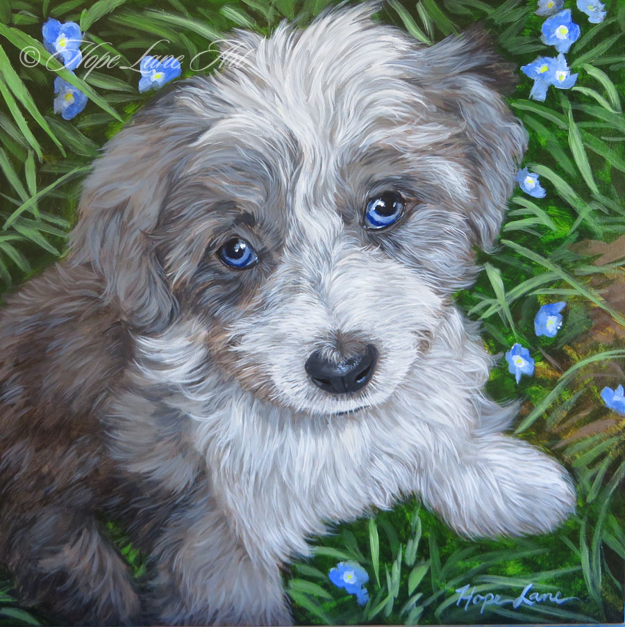 Finished Painting of Kendall the Aussiepoo
