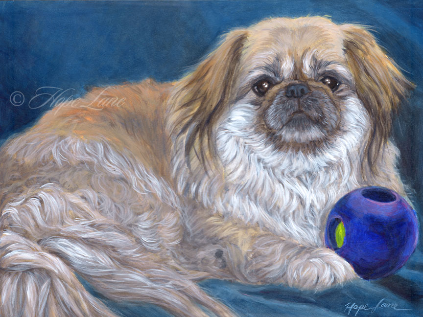 Pekingese painting best sale