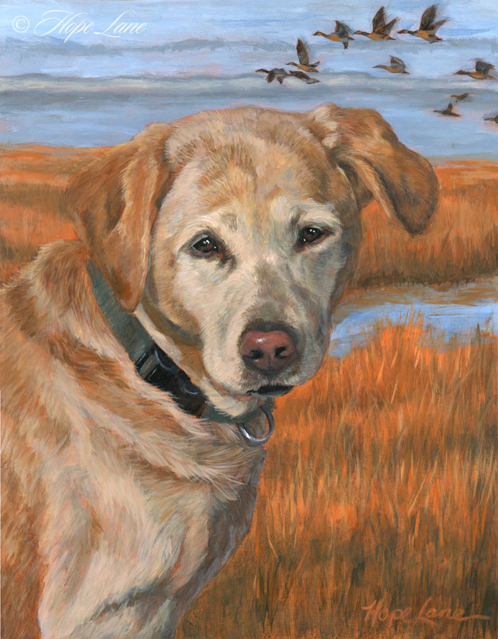 Completed Portrait of Tara, the Yellow Lab