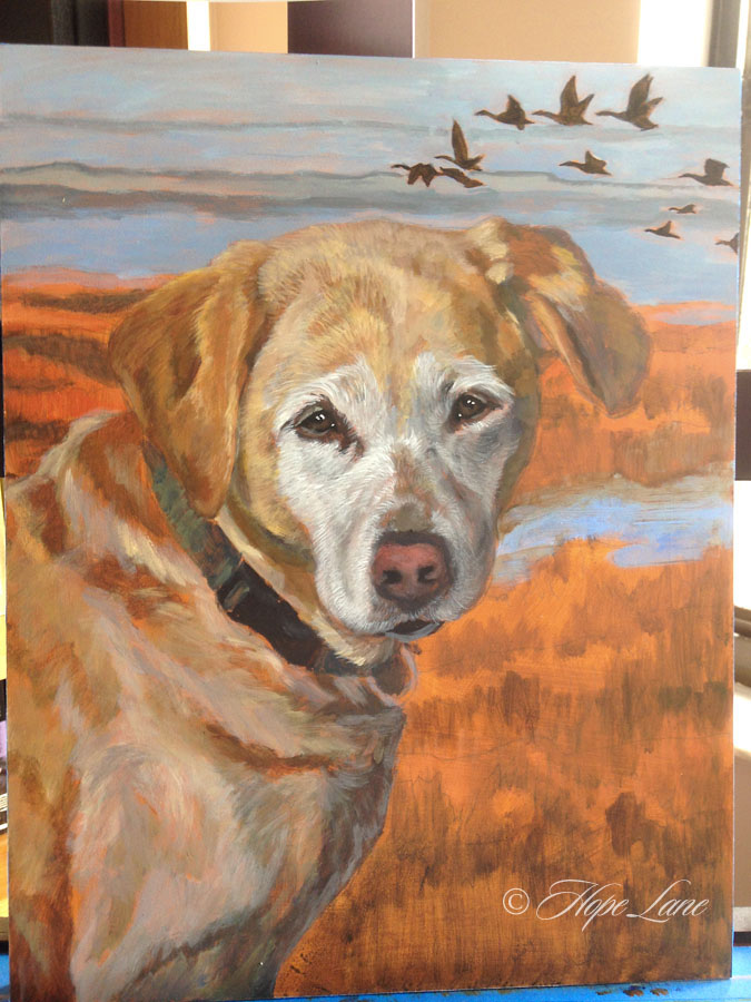 Yellow Lab Painting Early Stages