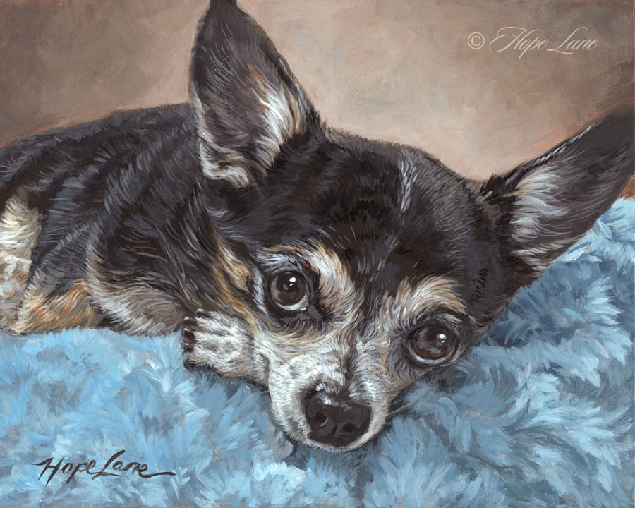 Completed Painting of Pepe, the Chihuahua