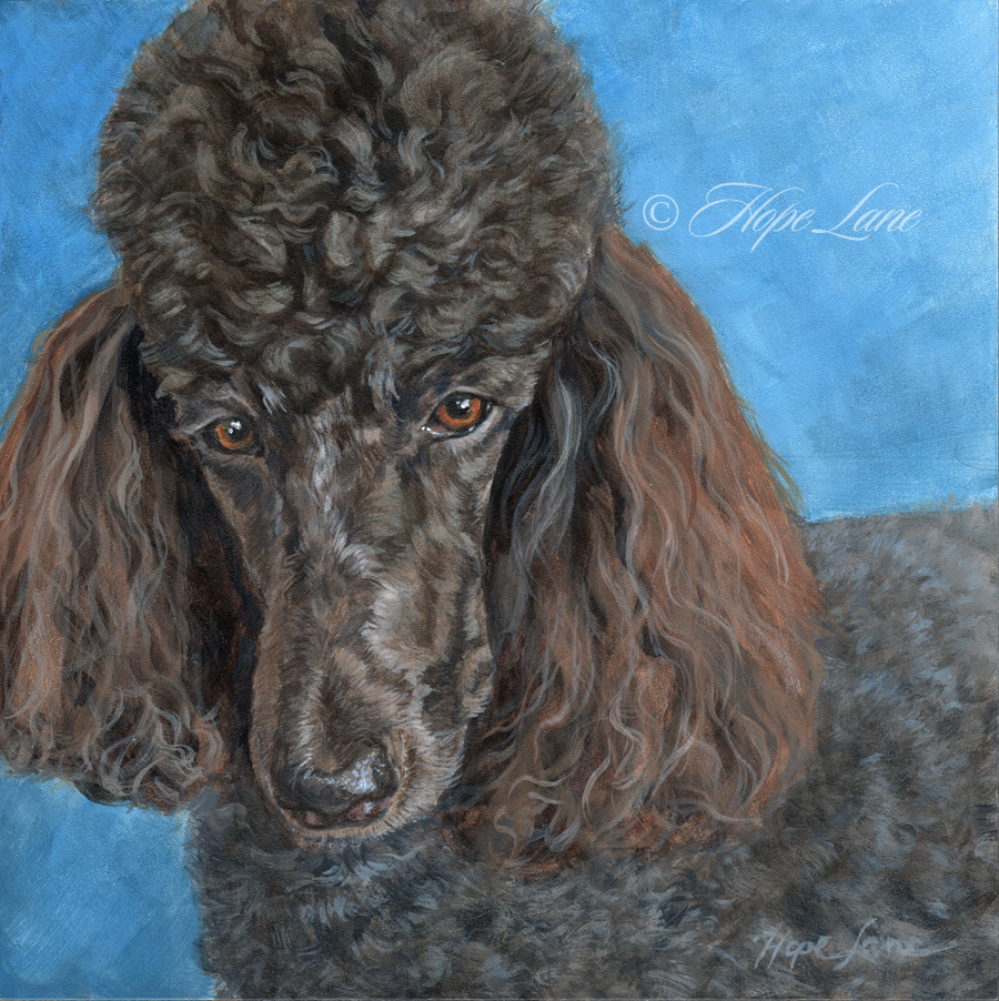 Finished Painting of Kona the Poodle