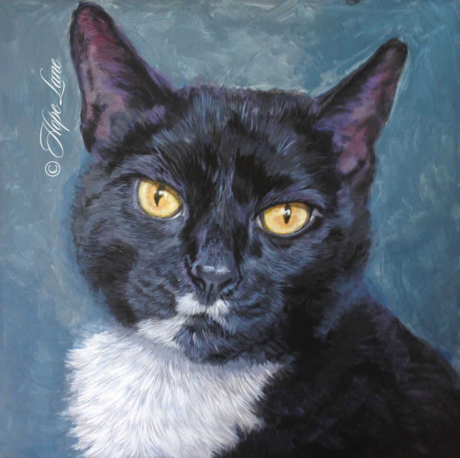 Midway Through Tuxedo Cat Painting